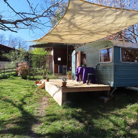 Cosy Cabane Montbrun-Bocage Bagian luar foto
