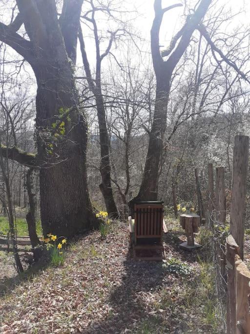 Cosy Cabane Montbrun-Bocage Bagian luar foto
